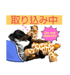 みにぴんライフ①（個別スタンプ：28）