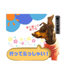 みにぴんライフ①（個別スタンプ：29）