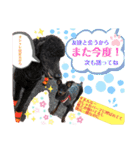 みにぴんライフ①（個別スタンプ：32）