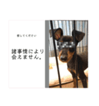 みにぴんライフ①（個別スタンプ：33）