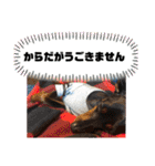 みにぴんライフ①（個別スタンプ：34）