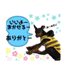 みにぴんライフ①（個別スタンプ：37）