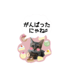 アニーちゃんスタンプ6（個別スタンプ：4）