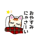 猫の励まし（個別スタンプ：1）