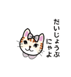 猫の励まし（個別スタンプ：12）