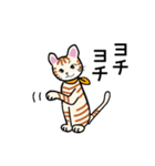 猫の励まし（個別スタンプ：21）