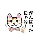 猫の励まし（個別スタンプ：24）