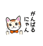 猫の励まし（個別スタンプ：31）