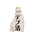 漁協の猫と家の猫ちゃんたちでごわす（個別スタンプ：26）