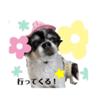 漁協の猫と家の猫ちゃんたちでごわす（個別スタンプ：28）