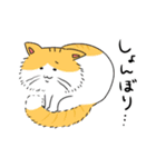 こっそり猫生活（個別スタンプ：7）