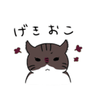 こっそり猫生活（個別スタンプ：19）