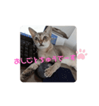 まめ太郎Life part3（個別スタンプ：6）