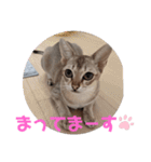 まめ太郎Life part3（個別スタンプ：8）