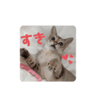 まめ太郎Life part3（個別スタンプ：13）