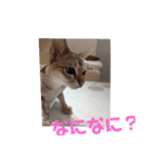 まめ太郎Life part3（個別スタンプ：16）