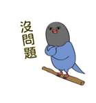 ピンクシリーズ-青カササギ-パート2（個別スタンプ：2）