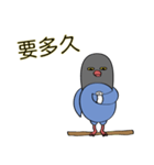 ピンクシリーズ-青カササギ-パート2（個別スタンプ：7）