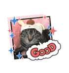 茎たんスタンプ（個別スタンプ：10）