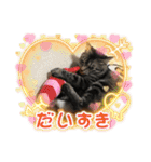 茎たんスタンプ（個別スタンプ：18）