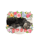 茎たんスタンプ（個別スタンプ：19）
