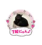茎たんスタンプ（個別スタンプ：22）