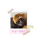 茎たんスタンプ（個別スタンプ：23）