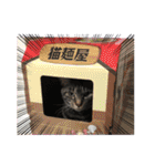 茎たんスタンプ（個別スタンプ：27）