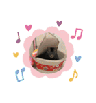 茎たんスタンプ（個別スタンプ：29）