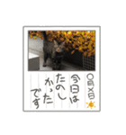 茎たんスタンプ（個別スタンプ：30）