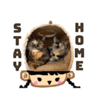 ねこどんず3（個別スタンプ：20）