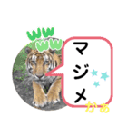 たけしのスタンプ その27（個別スタンプ：2）