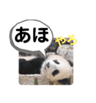 たけしのスタンプ その27（個別スタンプ：6）