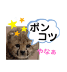 たけしのスタンプ その27（個別スタンプ：7）