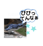 たけしのスタンプ その27（個別スタンプ：8）