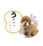 たけしのスタンプ その27（個別スタンプ：10）