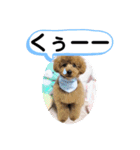 たけしのスタンプ その27（個別スタンプ：12）