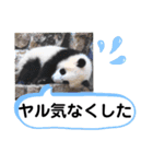 たけしのスタンプ その27（個別スタンプ：13）
