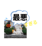 たけしのスタンプ その27（個別スタンプ：14）