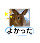 たけしのスタンプ その27（個別スタンプ：18）