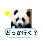 たけしのスタンプ その27（個別スタンプ：19）