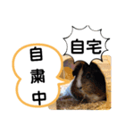たけしのスタンプ その27（個別スタンプ：20）