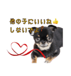 真顔のくースタンプ（個別スタンプ：18）