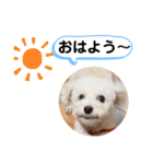 かねねんのうめ吉くん④（個別スタンプ：2）