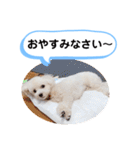 かねねんのうめ吉くん④（個別スタンプ：3）