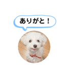 かねねんのうめ吉くん④（個別スタンプ：6）