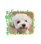 かねねんのうめ吉くん④（個別スタンプ：7）