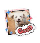 かねねんのうめ吉くん④（個別スタンプ：14）