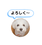 かねねんのうめ吉くん④（個別スタンプ：15）