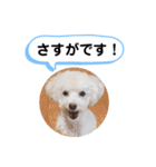 かねねんのうめ吉くん④（個別スタンプ：16）